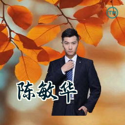 陈敏华